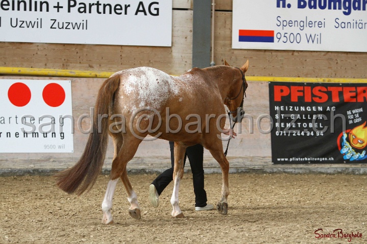 24-ApHC HIH_093.jpg